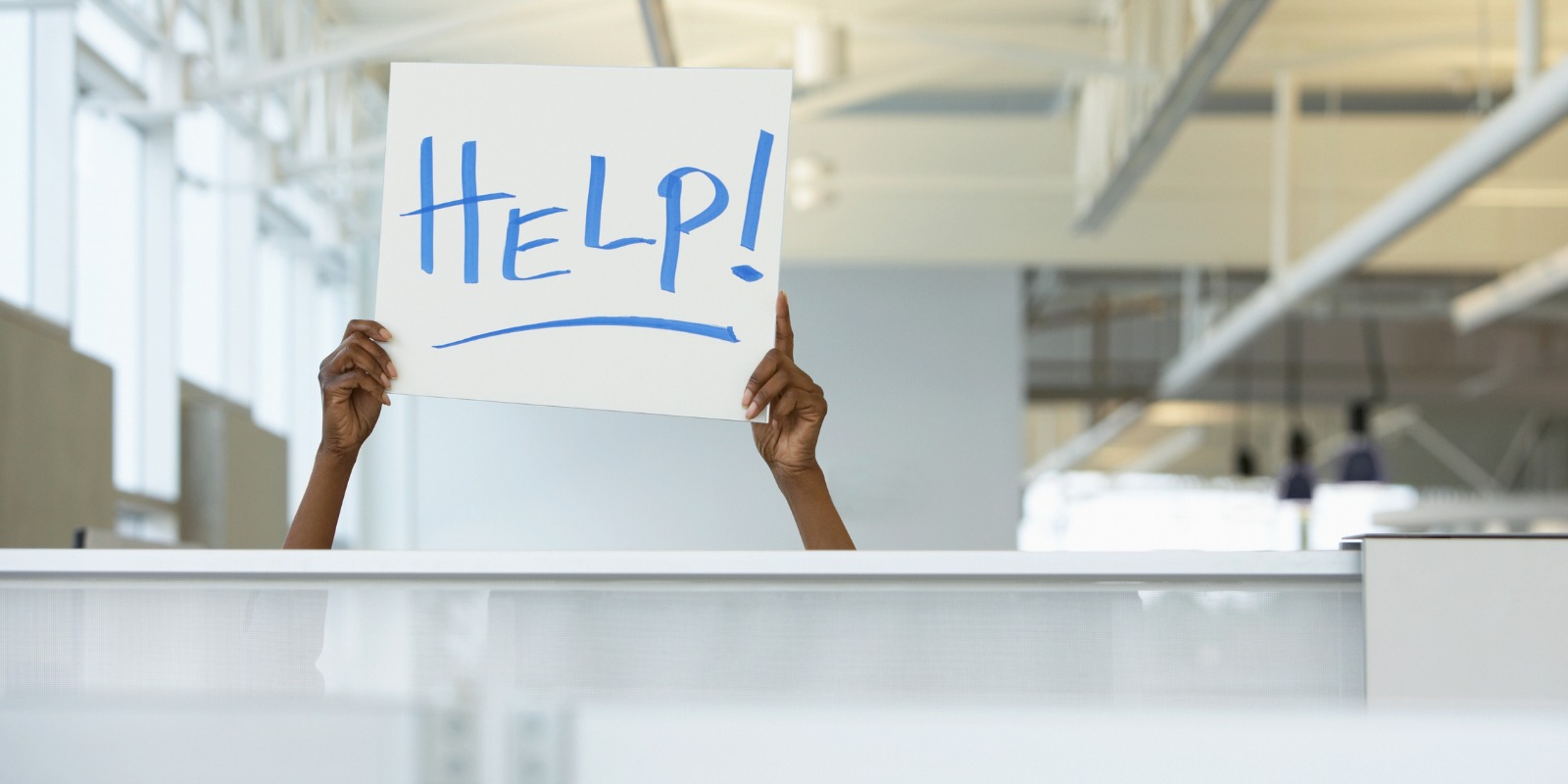 Sign that says help! held over a cubicle wall
