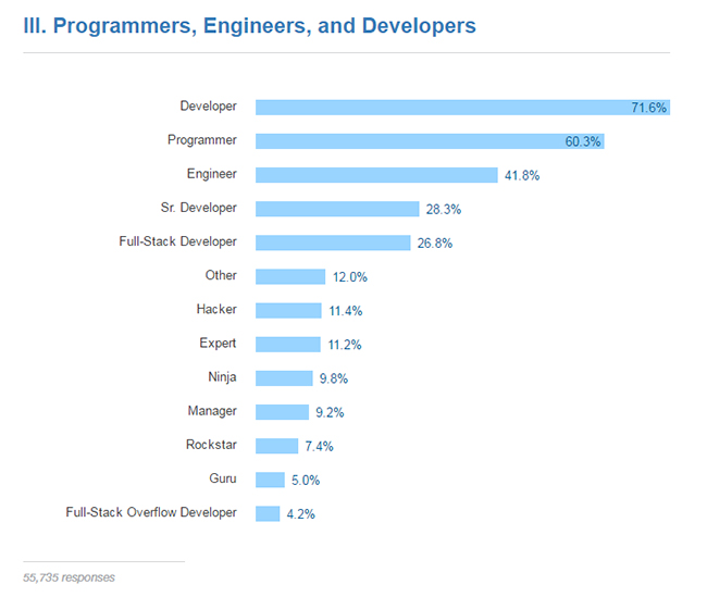 Developer as Job Title
