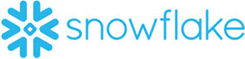 Snowflake Logo